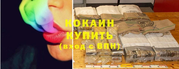 стаф Абаза
