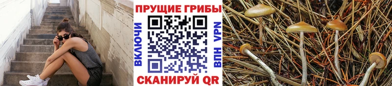 MEGA вход  купить   Рославль  Псилоцибиновые грибы MAGIC MUSHROOMS 